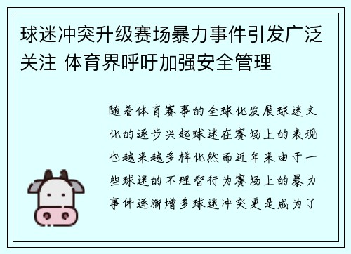 球迷冲突升级赛场暴力事件引发广泛关注 体育界呼吁加强安全管理